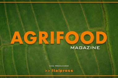 Agrifood Magazine – 19/5/2021