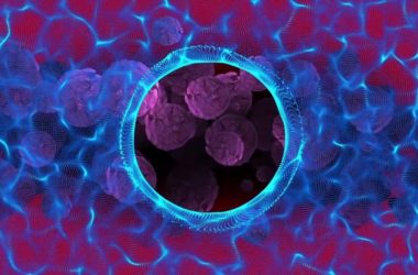 Un nanosistema per contrastare il tumore al colon