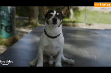 Anni da cane, il trailer