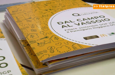 “Dal Campo al Vassoio”, un progetto per educare alla sostenibilità