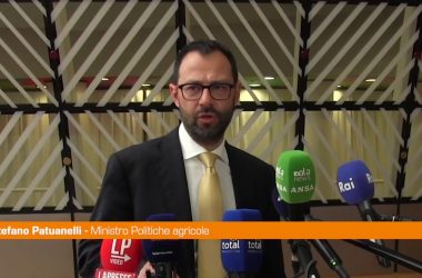 Ue, Patuanelli “Serve un recovery fund per l’energia”