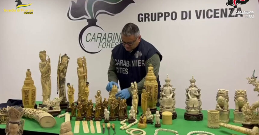 Maxisequestro di oggetti in avorio dei Carabinieri Forestali