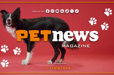 PetNews Magazine – 18/6/2024