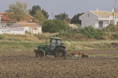 Crescita record per le polizze agricole agevolate nel 2023