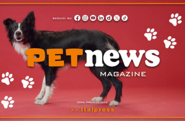 PetNews Magazine – 5/6/2024