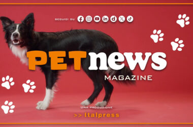 PetNews Magazine – 25/6/2024