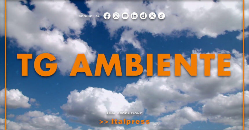 Tg Ambiente – 7/7/2024