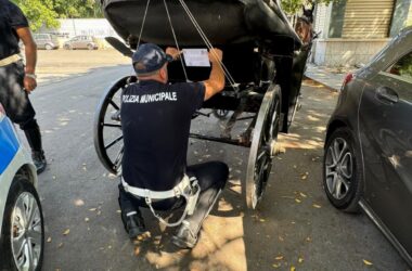 Sequestrata una carrozza a Palermo, Ferrandelli “Attività scrupolosa”