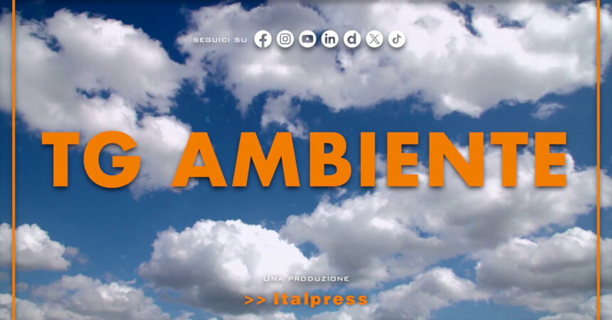 Tg Ambiente – 14/7/2024