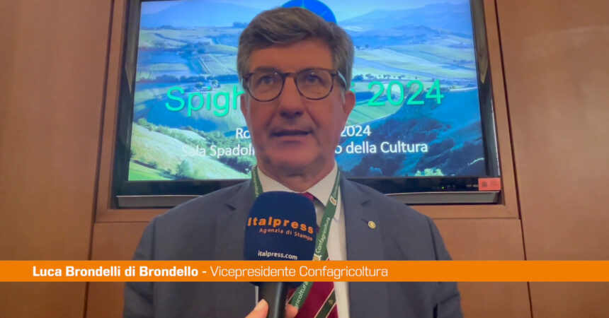 Spighe Verdi, Brondelli di Brondello “Più attenzione ad aree interne”