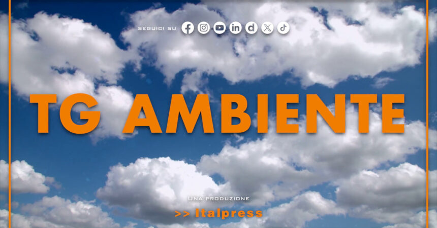 Tg Ambiente – 21/7/2024