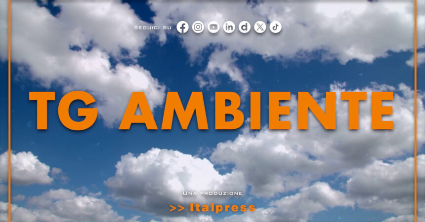 Tg Ambiente – 28/7/2024