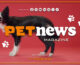 PetNews Magazine – 6/8/2024