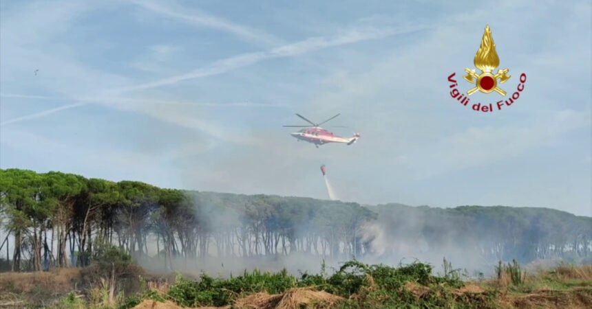 Incendio in pineta a Ravenna, in azione elicottero Vigili del Fuoco