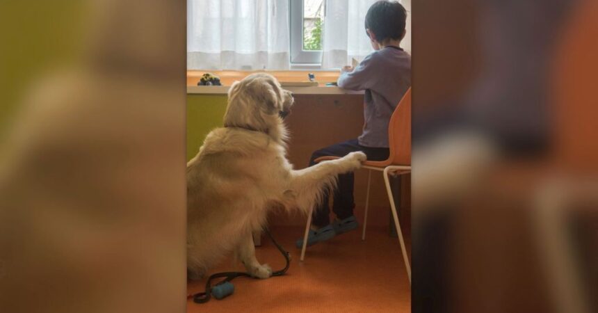 Purina insieme a Fridàs Friends per la Pet Therapy al Fatebenefratelli