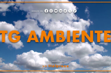 Tg Ambiente – 15/9/2024