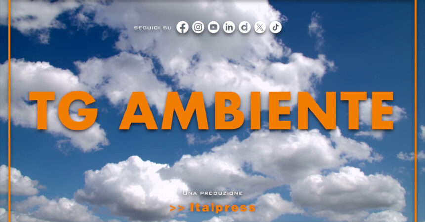 Tg Ambiente – 15/9/2024