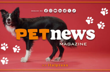 PetNews Magazine – 3/9/2024