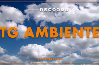 Tg Ambiente – 8/9/2024