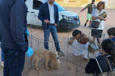 Palermo, Ferrandelli “Sold out di microchip oggi al centro Conca d’Oro”