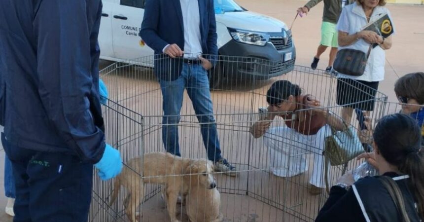 Palermo, Ferrandelli “Sold out di microchip oggi al centro Conca d’Oro”