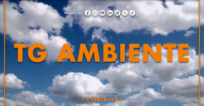 Tg Ambiente – 6/10/2024