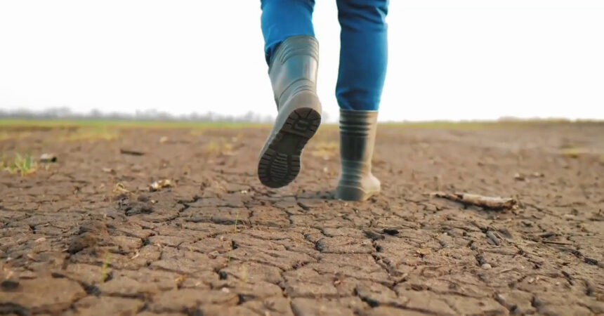 Siccità, 112 milioni per le imprese agricole danneggiate