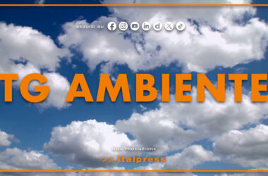 Tg Ambiente – 13/10/2024