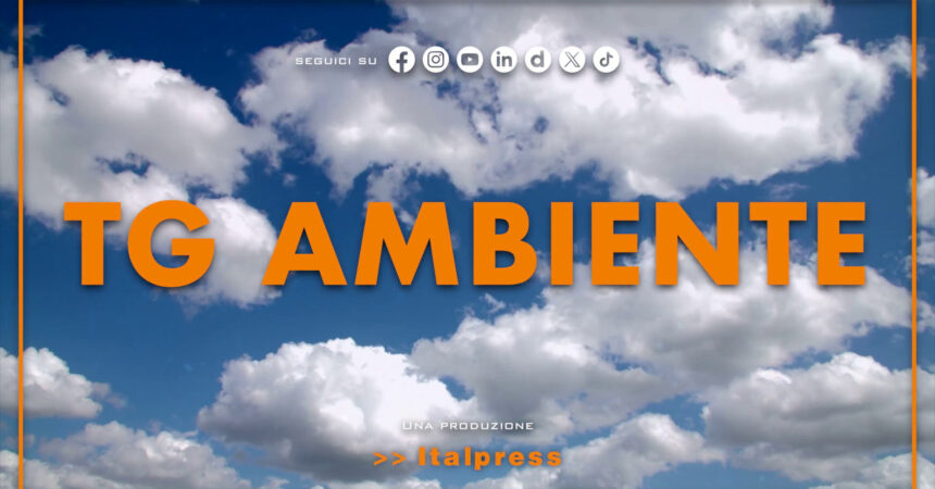 Tg Ambiente – 13/10/2024