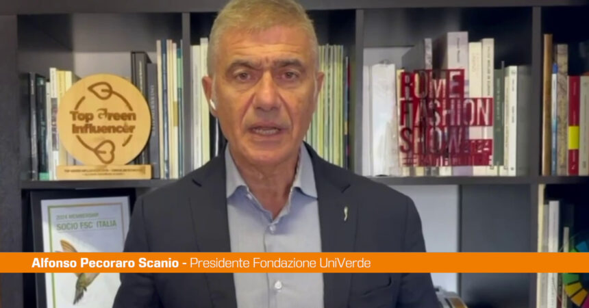 Pecoraro Scanio “Tutelare alberi essenziali contro crisi climatica”