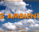 Tg Ambiente – 17/11/2024