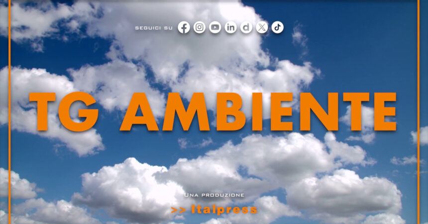 Tg Ambiente – 17/11/2024