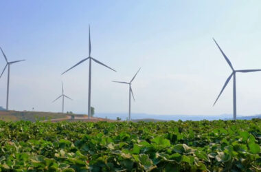 Nasce il Consiglio europeo per l’agricoltura e l’alimentazione