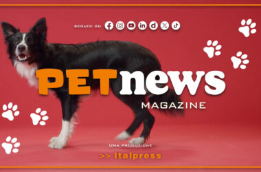 PetNews Magazine – 3/12/2024