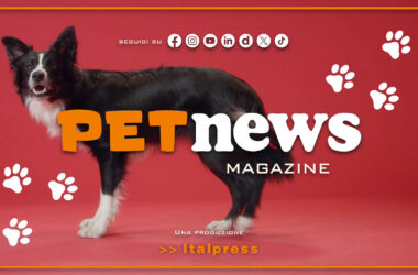 PetNews Magazine – 10/12/2024