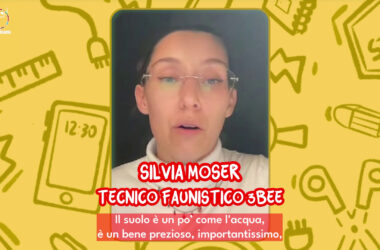 Tik Tok, minorenni senza filtri