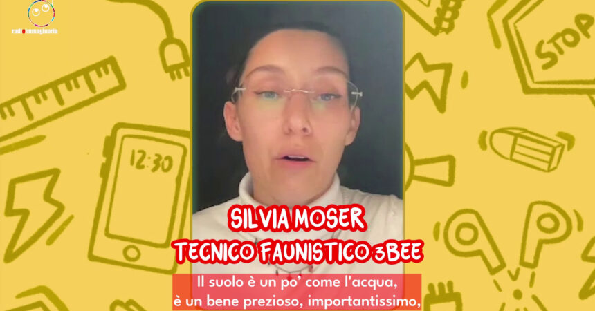 Tik Tok, minorenni senza filtri