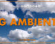 Tg Ambiente – 22/12/2024