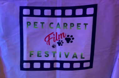 Successo per la terza edizione di “Pet Carpet. Un riciclo da Oscar”