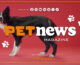 PetNews Magazine – 31/12/2024