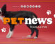 PetNews Magazine – 17/12/2024