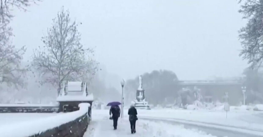 Tempesta di neve negli Usa, stato di emergenza sulla costa orientale