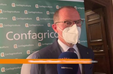 Giansanti: “Sfida agricoltura italiana è dimostrare le sue potenzialità”