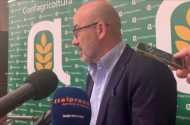 Agricoltura, Cingolani “Previste misure per efficientare sistema”