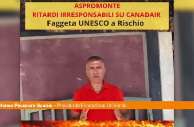 Incendi in Aspromonte, Pecoraro Scanio: “Canadair e Governo in ritardo”