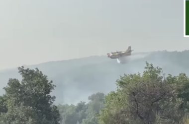 Incendi, dalle Madonie al Parco dell’Etna. Canadair in azione in Sicilia