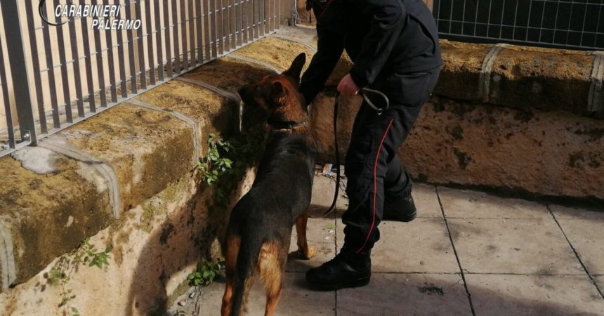 Spacciavano droga davanti a una scuola, 12 arresti a Palermo