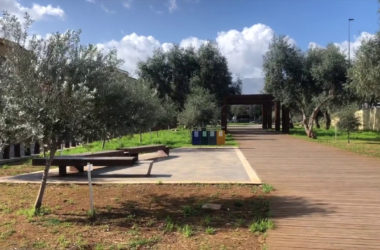 Palermo, dagli ulivi del “Giardino della memoria” nasce l’olio santo