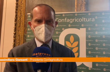 Agroalimentare, Giansanti “Valorizzare la filiera del grano duro”