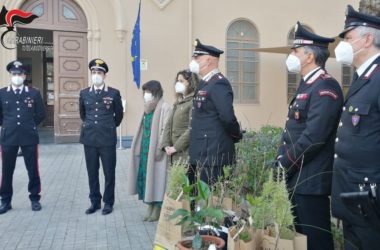 Le Talee dell’Albero Falcone nelle scuole di Palermo